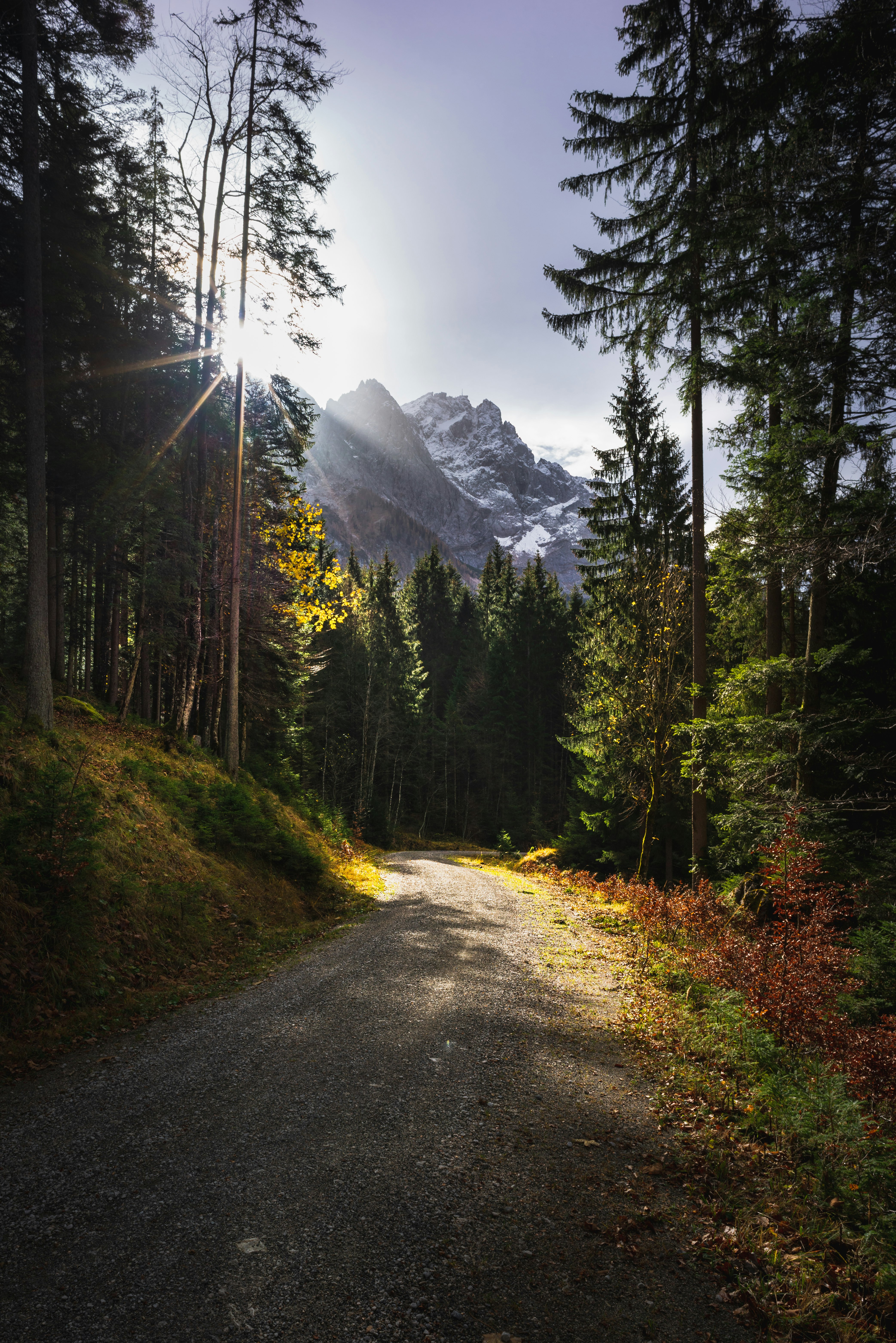 green trees near mountain under white sky during daytime